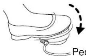 Pec