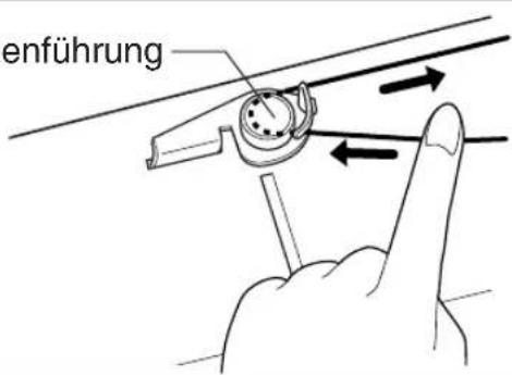 enführung