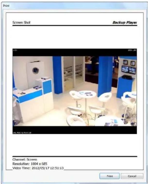 Print Screen Shot Backup Player 1:01 2023.06 05/05/17 12:51:13:20 Channel: Screen Resolution: 1004 x 685 Video Time: 2012/05/17 12:51:13_ Print Cancel