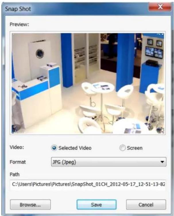 Snap Shot Preview: Video: Selected Video Screen Format JPG (Jpeg) Path C:\Users\Pictures\Pictures\SnapShot_01CH_2012-05-17_12-51-13-82 Browse... Save Cancel