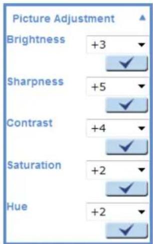 Picture Adjustment Brightness +3 Sharpness +5 Contrast +4 Saturation +2 Hue +2