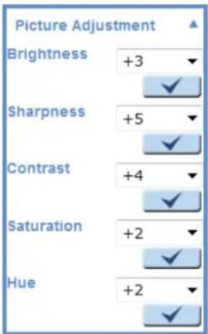 Picture Adjustment Brightness +3 Sharpness +5 Contrast +4 Saturation +2 Hue +2