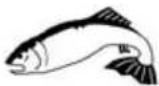 MEDION MD 11025 - Bildsymbole - 8