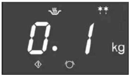 0.1 kg