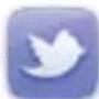 ALCATEL One Touch 2005X - Twitter ^(1) 3.2 - 1