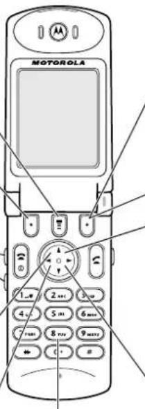 MOTOROLA T720 - Wiedergabeanzeige - 13