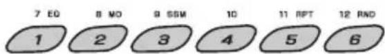 7 EQ 8 NO 9 SSN 10 11 RPT 12 RND 1 2 3 4 5 6