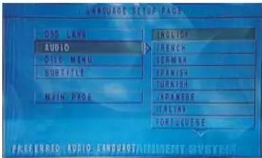 LANGUAGE SETUP PAGE OSO LANG AUDIO DISC MENU SUBTITLE MAIN PAGE ENGLISH IFRENCH SERMAN SPANISH TURRISH JAPANESE ITALIA PORTUQUESE PRESERVED AUDIO LANGUAGE ITMENT SYSTEMS