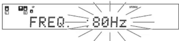 SP C A FREQ.: 80Hz STEREO.