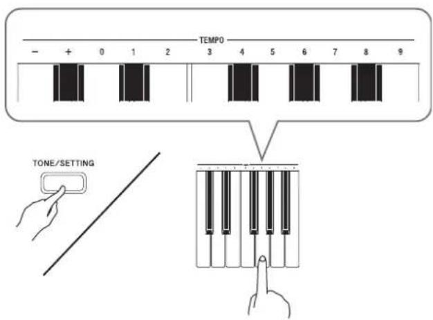 CASIO Privia PX-720C - Stellen Sie bei gedrückt gehaltener TONE/SETTING-Taste mit den TEMPO-Tasten einen Tempowert im Bereich von 20 bis 255 Schlägen pro Minute ein. - 1