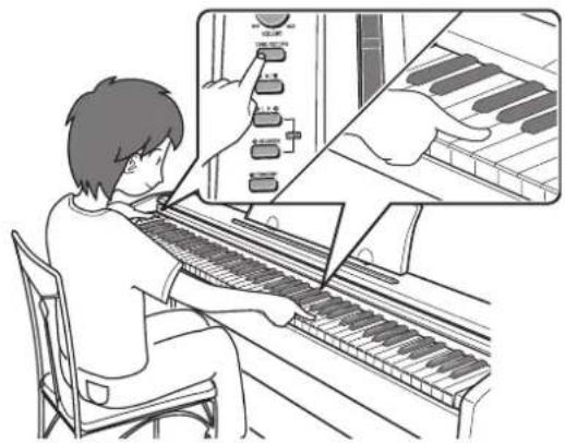 CASIO Privia PX-720C - TONE/SETTING-Taste - 1
