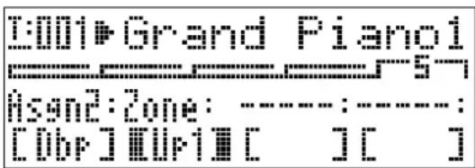 CASIO Privia PX-3S - ■5-B Einstellungen bei Asgn2 = DSP Bypass (Dbp) - 1
