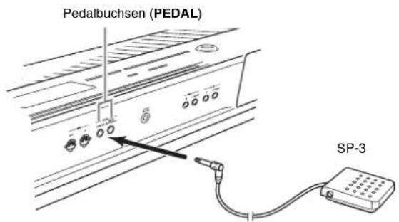 CASIO Privia PX-3S - An Pedalbuchse anschließen - 1