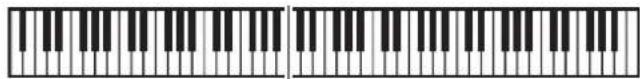 CASIO Privia PX-3S - HINWEIS - 1