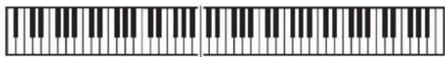 CASIO Privia PX-3S - Aufteilen der Tastatur auf zwei Klangfarben - 1