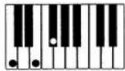 CASIO MZ-2000 - Akkorde mit Grundtonposition (23 Typen) - 6