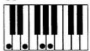 CASIO MZ-2000 - Akkorde mit Grundtonposition (23 Typen) - 24