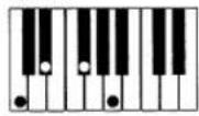 CASIO MZ-2000 - Akkorde mit Grundtonposition (23 Typen) - 11