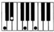 CASIO MZ-2000 - Akkorde mit Grundtonposition (23 Typen) - 10