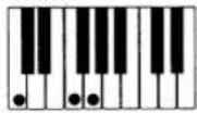 CASIO MZ-2000 - Akkorde mit Grundtonposition (23 Typen) - 3