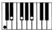 CASIO MZ-2000 - Akkorde mit Grundtonposition (23 Typen) - 13