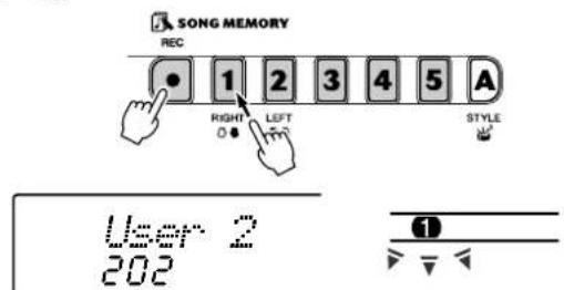 SONG MEMORY REC 1 2 3 4 5 A RIGHT LEFT STYLE User 2 202