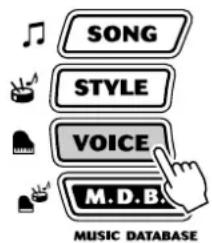 SONG STYLE VOICE M.D.B. MUSIC DATABASE