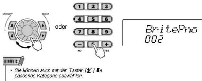 DATAGUARY SELECT oder 1 2 3 4 5 6 7 8 9 - NO + YES BritePro 002 HINWEIS • Sie können auch mit den Tasten [▲] die passende Kategorie auswählen.