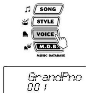 SONG STYLE VOICE M.D.B. MUSIC DATABASE GrandPro 001