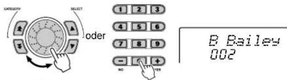CATEGORY SELECT oder 1 2 3 4 5 6 7 8 9 - 4 + NO YES B Bailey 002