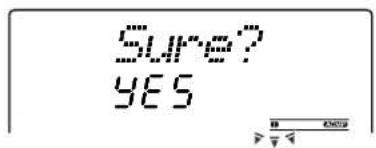 SURE? YES