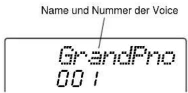 Name und Nummer der Voice GrandPro 0.01