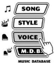 SONG STYLE VOICE M.D.B. MUSIC DATABASE