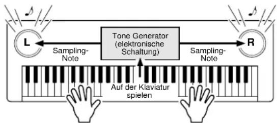 YAMAHA Portatone PSR-292 - Was ist MIDI? - 2