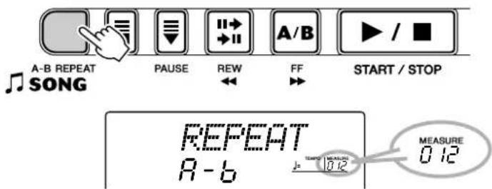 A-B REPEAT SONG PAUSE REW FF START / STOP REPEAT A - b 0.12 MEASURE 0.12