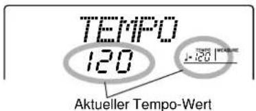 TEMP0 120 -1.50 MΩW Aktueller Tempo-Wert