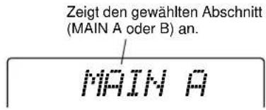 Zeigt den gewählten Abschnitt (MAIN A oder B) an. MAIN A