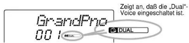 Zeigt an, daß die „Dual“- Voice eingeschaltet ist. GrandPro 001 DUAL