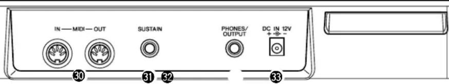 IN — MIDI — OUT SUSTAIN PHONES/ OUTPUT DC IN 12V + → - 30 31 32 33