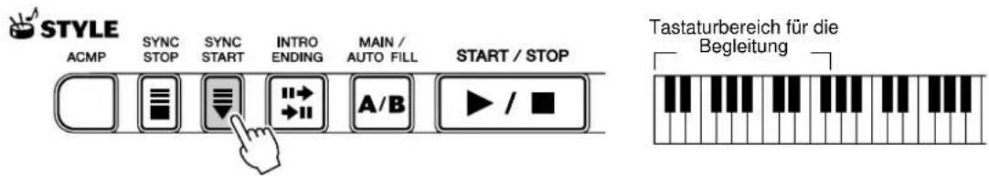 STYLE ACMP SYNC STOP SYNC START INTRO ENDING MAIN / AUTO FILL START / STOP Tastaturbereich für die Begleitung