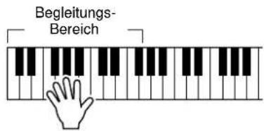 Begleitungs- Bereich