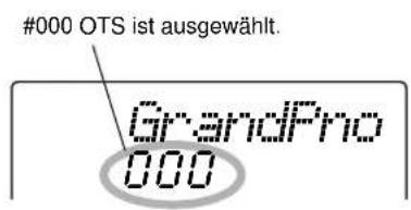 #000 OTS ist ausgewählt. GrandPro 000