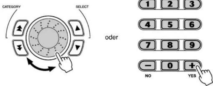 CATEGORY SELECT oder 1 2 3 4 5 6 7 8 9 - 0 + NO YES