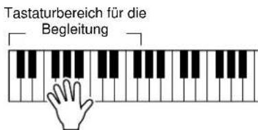 Tastaturbereich für die Begleitung