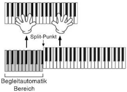 Split-Punkt Begleitautomatik Bereich
