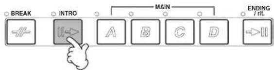 YAMAHA Portatone PSR-1100 - Style Sections - 1