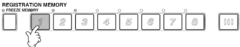REGISTRATION MEMORY FREEZE MEMORY 1 2 3 4 5 6 7 8 101