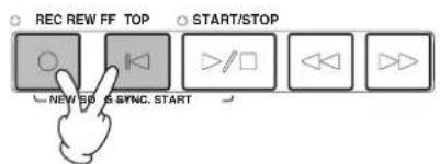 REC REW FF TOP START/STOP NEW SB &SYNC. START