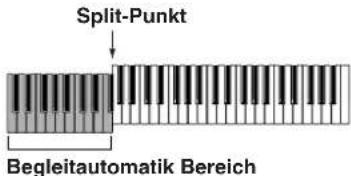 Split-Punkt Begleitautomatik Bereich