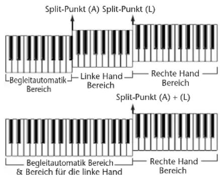Split-Punkt (A) Split-Punkt (L) Begleitautomatik Bereich —— Linke Hand Bereich —— Rechte Hand Bereich Split-Punkt (A) + (L) Begleitautomatik Bereich & Bereich für die linke Hand —— Rechte Hand Bereich